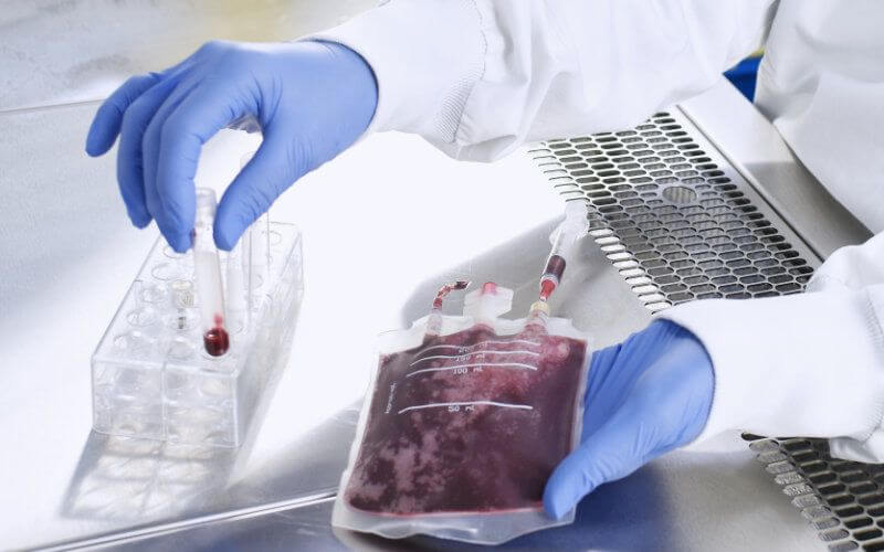 morocco-laboratory